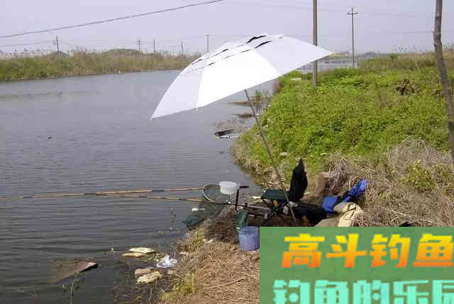 吃透这几句话，野钓时的渔获至少能多上三五条