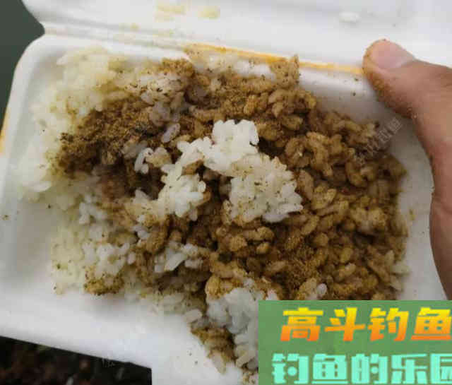 大米这么处理，用来打窝，效果比小米好