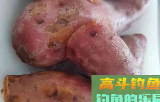 钓不到鲤鱼是你没用对窝料！这种粮食是大鲤鱼的最爱