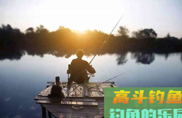 吃透这几句话，野钓时的渔获至少能多上三五条