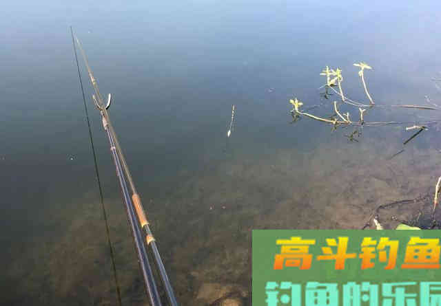 关于钓鱼的五个真实感受，新手可别被骗