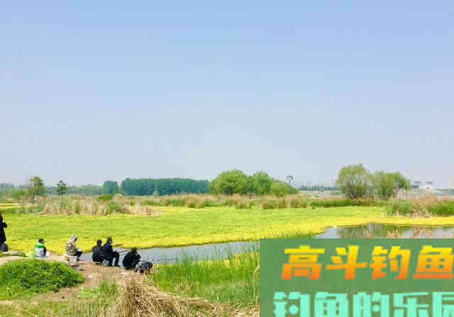 要想钓获好，到底是钓位重要还是饵料重要