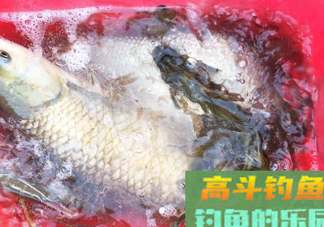 上鱼多的秘诀，不靠昂贵的钓具，而是思路