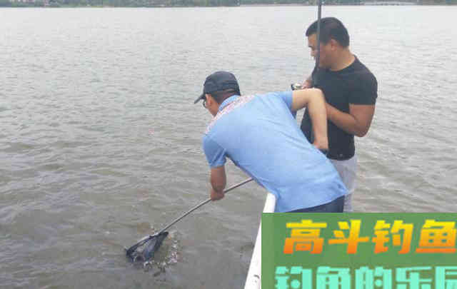 为什么会有各种各样的漂相？一篇文章说明白