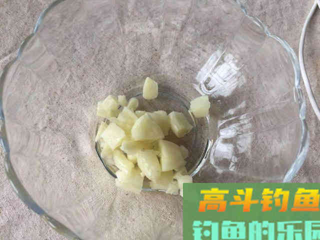 用大蒜做钓饵，到底是钓鱼人的噱头，还是不得其法用不好呢