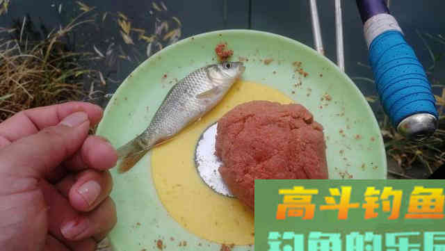 这七种抓口时机，很多老钓友都不知道