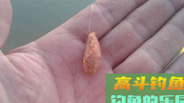 没有完美的饵料，说一说几种错误的用饵情况