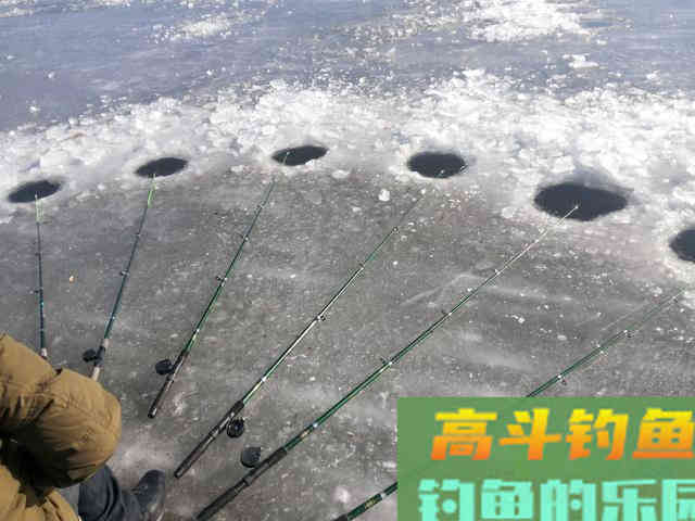 冬钓想要鱼口快，不一定非要打隔夜窝，散炮诱鲫