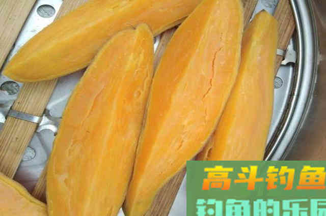 这种食物拿来做鱼饵，野钓鲫鱼效果很好