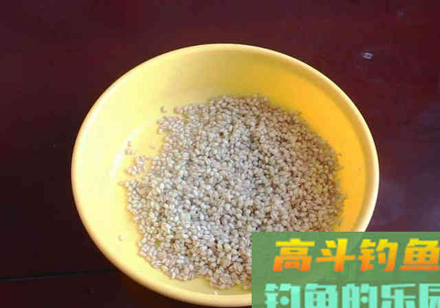 懒人也能学会的窝料制作教程，爱钓鱼的你请别错过