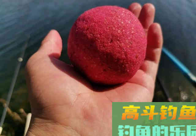 用“蓝鲫”钓不到鱼？可能买到了假货