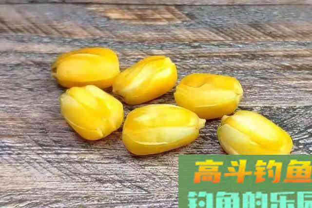 不花钱的饵料不用白不用，关键鲫鲤鱼特爱吃