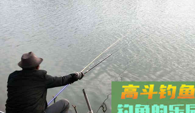 有鱼咬钩后，应该什么时候提竿