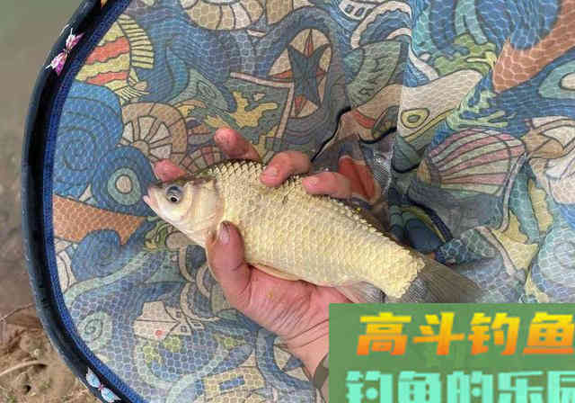 钓鱼空军，其实从你出发之前就注定了