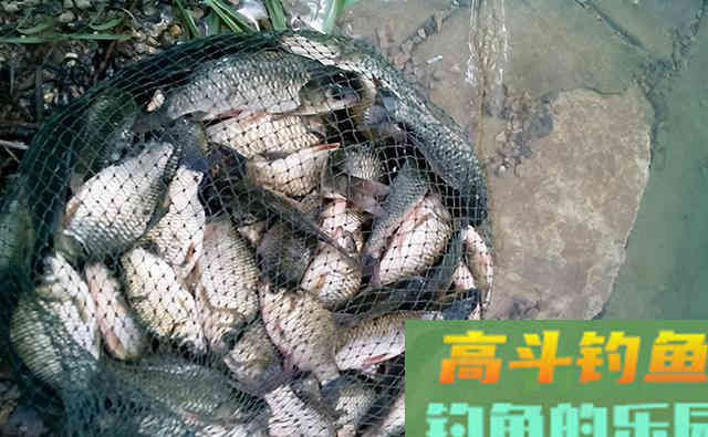 大爷就是大爷，为了钓鱼发大价钱自制饵料