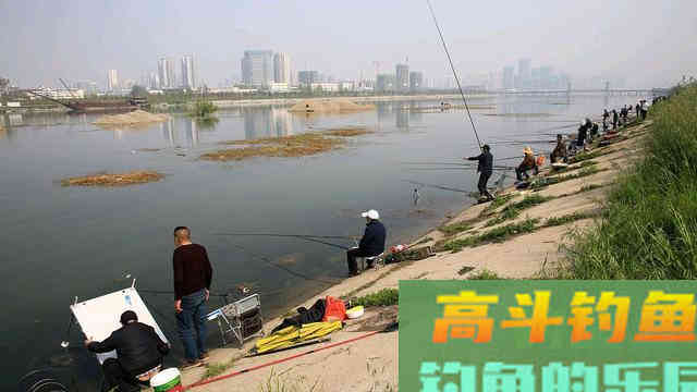 新手钓鱼遇到这五种钓点千万别错过，个个都是鱼窝