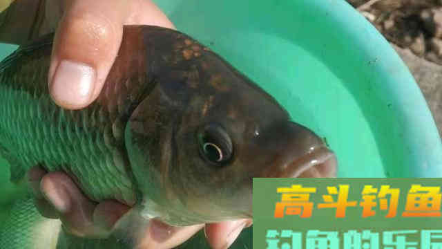 这些冬钓常识，老手必备，新手要学