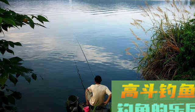 浮漂上顶，提竿却没有鱼，问题出在这里