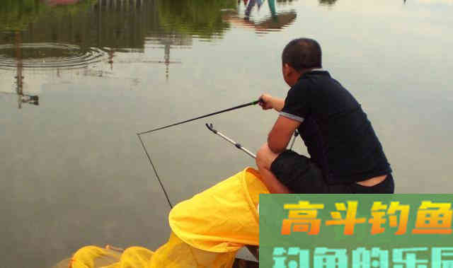 钓鱼有规律，别再用钓无定律、随机应变忽悠人