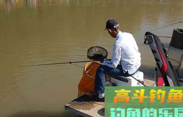 化氏不空军饵料状态差怎么办？我教你一招