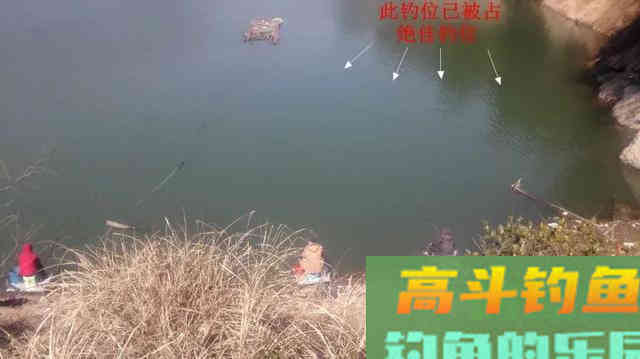 新手钓鱼需要知道的基本钓鱼知识
