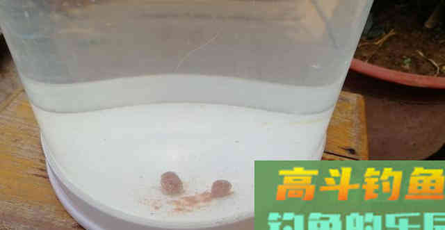 详解钩饵在水底常见的五种状态，一般钓友还真不知道