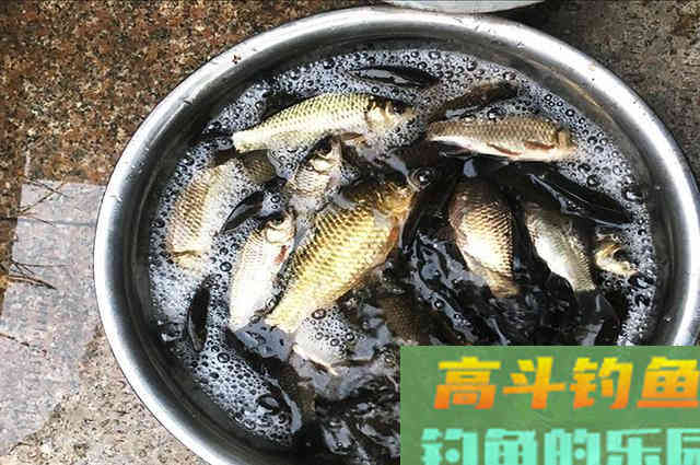 这5种行为，对钓到鱼帮助不大