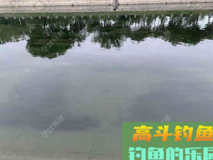 自制饵料良方，省您钱粮，照此施为，人安鱼康