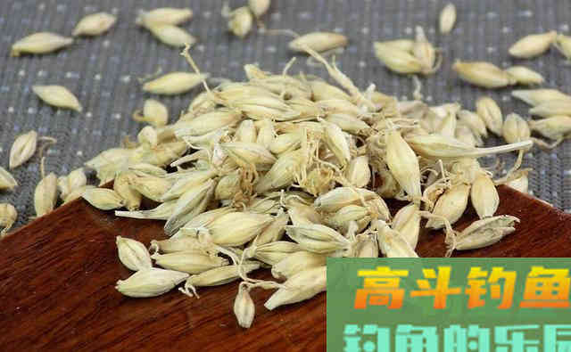 除了煮、泡、发酵，还有这种方法，制作的麦粒
