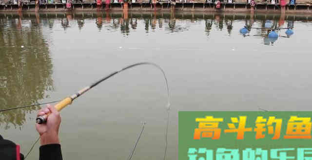 钓鱼新手提竿后，不中鱼，高手是怎么提竿呢