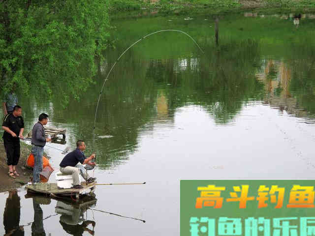 钓鱼不钓草，等于瞎胡跑”，忽视这5点，钓草同样是瞎胡跑