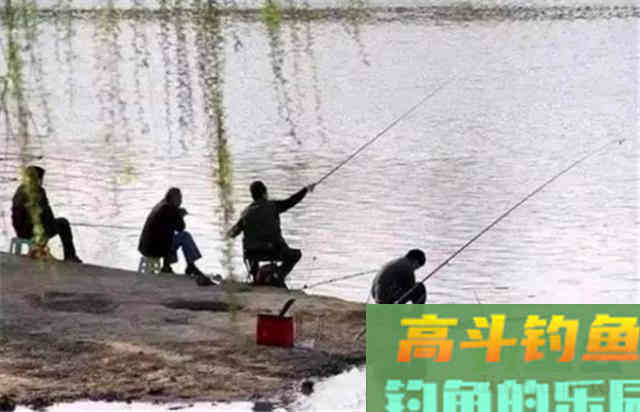 高频率抽杆，诱鱼效果是杠杠滴，但在冬天要慎用