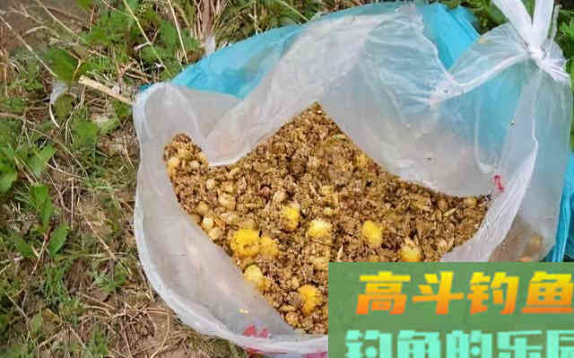 要钓到鱼什么重要呢钓位？钓位，诱鱼？，这点才关键