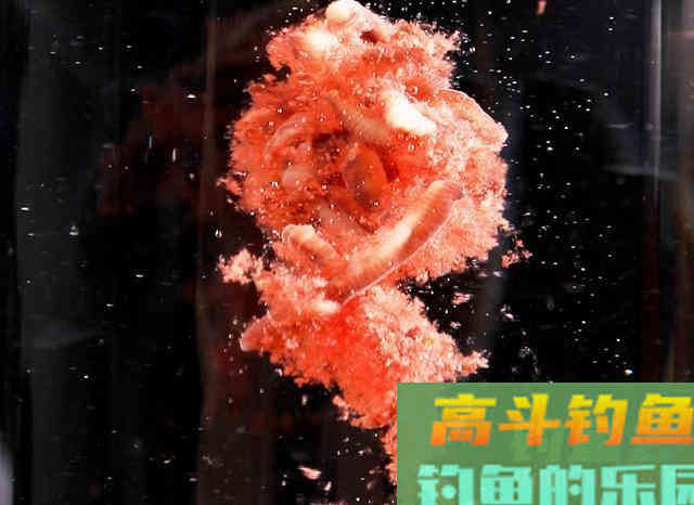 新手才会用蚯蚓钓鱼？蚯蚓新玩法反击，让你高攀不起
