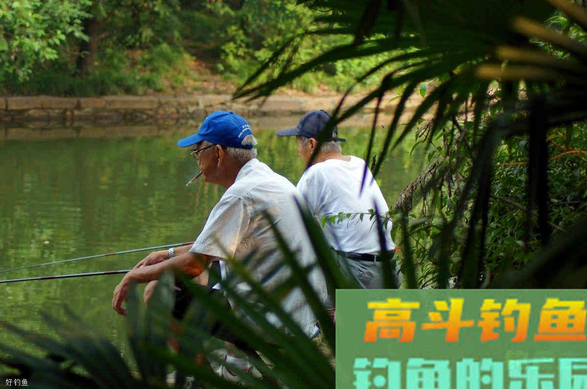 夏季钓鱼，可以试试这几款商品饵配方