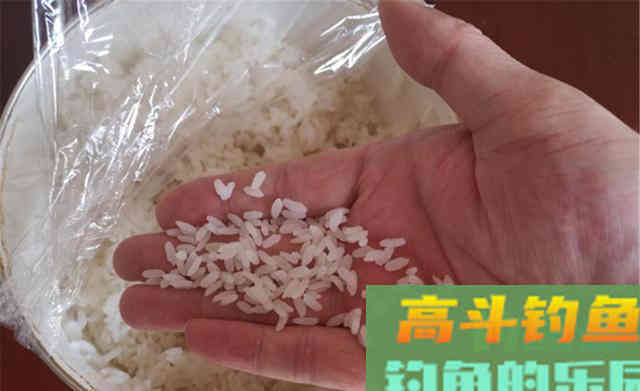 入冬之前野钓大鲫鱼，我从来不用蚯蚓和红虫