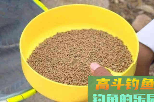 鲤鱼钓了三十年，至今才公开这饵料