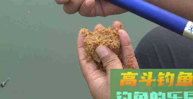 鱼饵状态怎么玩？看看啥鱼爱吃啥状态吧