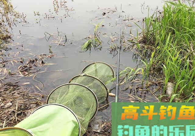 新手花600块买堆钓具，一天钓了5条鱼