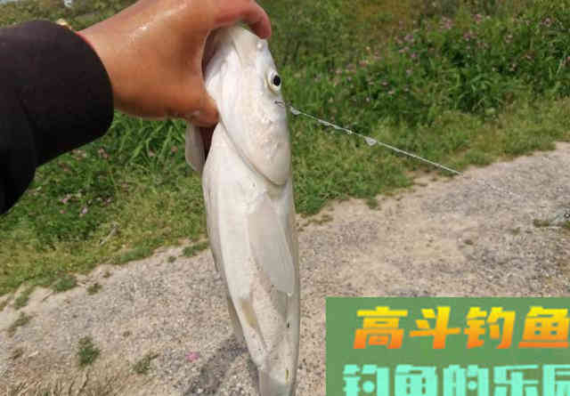 10次提竿9次锚，再等等鱼都跑光了