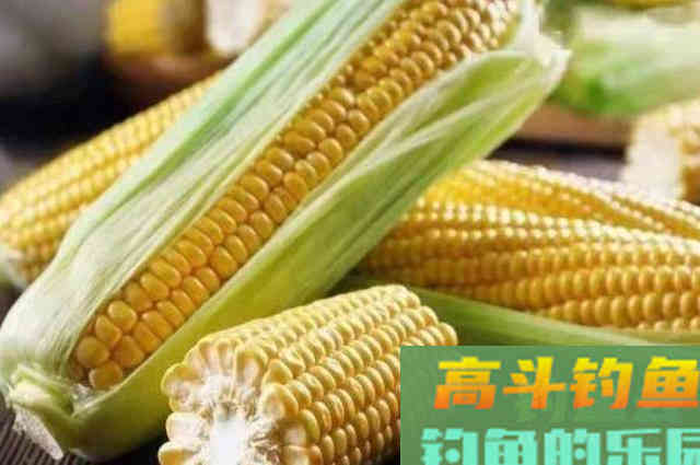 这草鱼饵我连用了二十年，如今依然不想透露