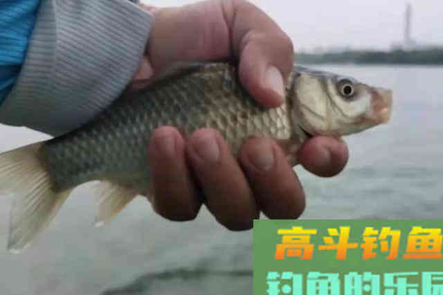 泡沫太轻，怎么比商品饵好？老司机直言：知道这用法的人少之又少