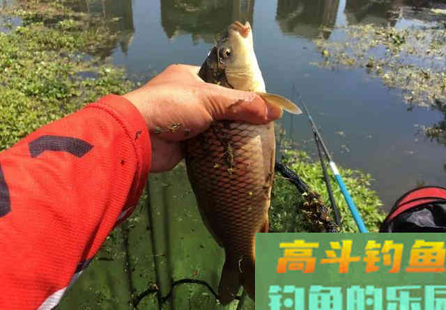 10次提竿9次锚，再等等鱼都跑光了