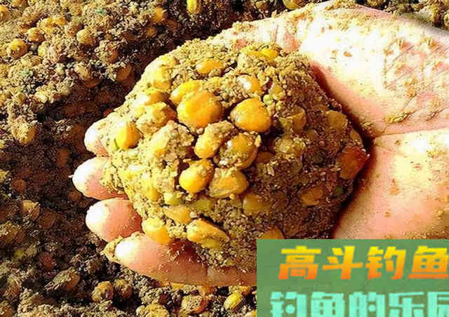 野生鲤鱼的最爱，不是玉米粒，也不是麦粒，而是这三种饵料