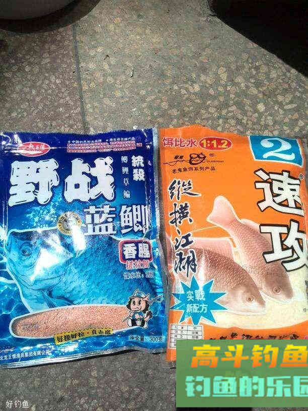野战蓝鲫开饵及使用中应注意的事项