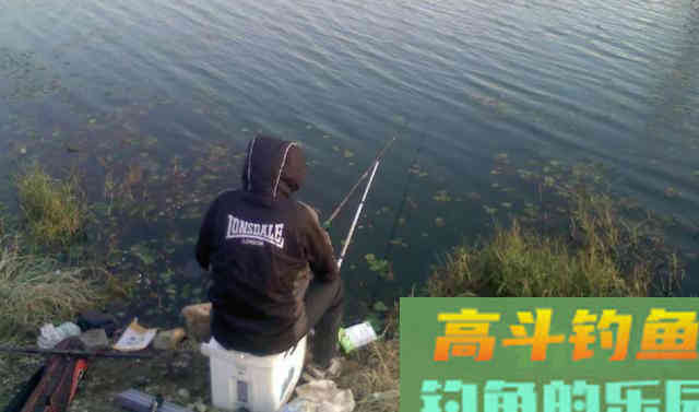 饵料不好用，可能不是饵料的问题