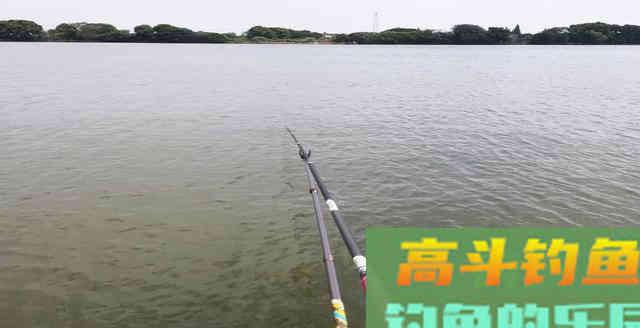 同样都是钓鱼，为何别人比你钓得多，秘密在这里