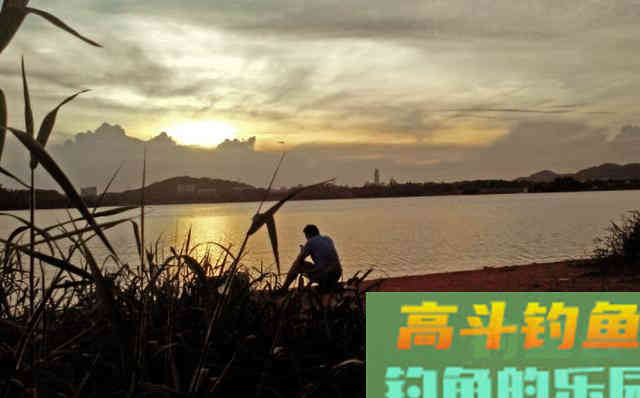 钓鱼怪现象：水平越差的钓友，钓获反而越多