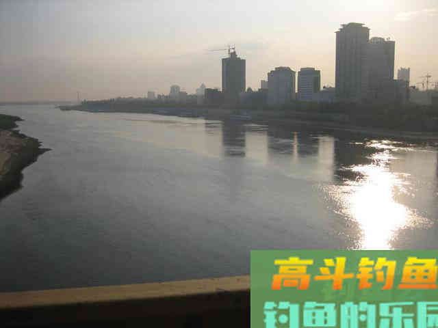 我钓鱼时常遇到的那位高手老黄，钓法出其不意