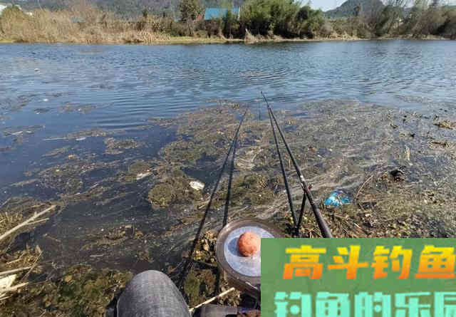 有水流的地方这样做窝诱鱼才快，效果要比手抛窝好得多